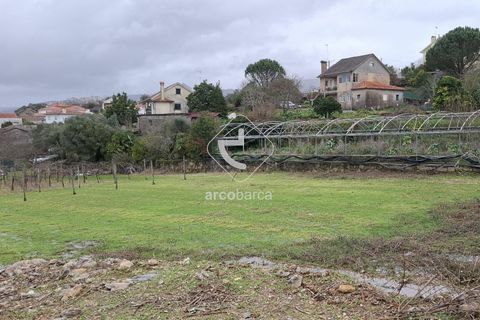Terra a Ponte de Lima, Viana do Castelo, Ponte de Lima - € 67.500 | Ref: AV6601 - foto 2