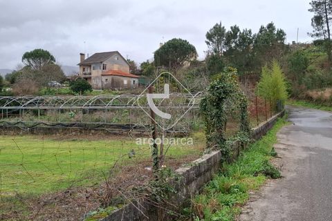 Terra a Ponte de Lima, Viana do Castelo, Ponte de Lima - € 67.500 | Ref: AV6601 - foto 3