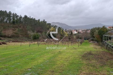 Terra a Ponte de Lima, Viana do Castelo, Ponte de Lima - € 67.500 | Ref: AV6601 - foto 4