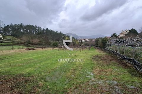 Terra a Ponte de Lima, Viana do Castelo, Ponte de Lima - € 67.500 | Ref: AV6601 - foto 5