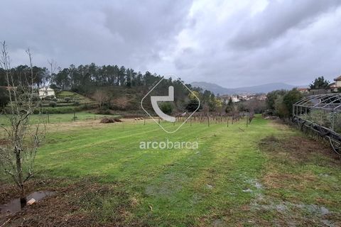 Terra a Ponte de Lima, Viana do Castelo, Ponte de Lima - € 67.500 | Ref: AV6601 - foto 6
