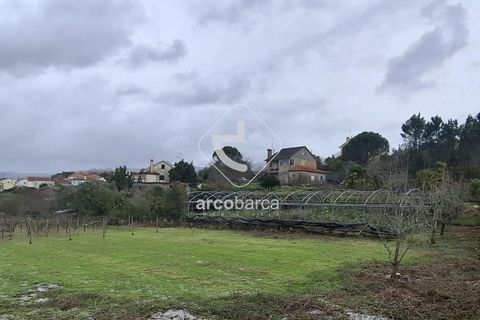 Terra a Ponte de Lima, Viana do Castelo, Ponte de Lima - € 67.500 | Ref: AV6601 - foto 7