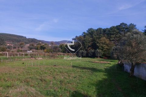 Tomt i Ponte de Lima, Viana do Castelo, Ponte de Lima - € 79 000 | Ref: AV6190 - foto 2