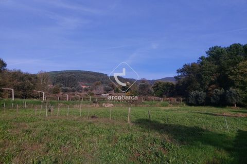 Tomt i Ponte de Lima, Viana do Castelo, Ponte de Lima - € 79 000 | Ref: AV6190 - foto 3