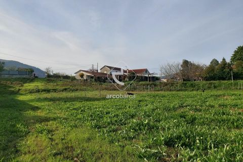 Tomt i Ponte de Lima, Viana do Castelo, Ponte de Lima - € 79 000 | Ref: AV6190 - foto 4