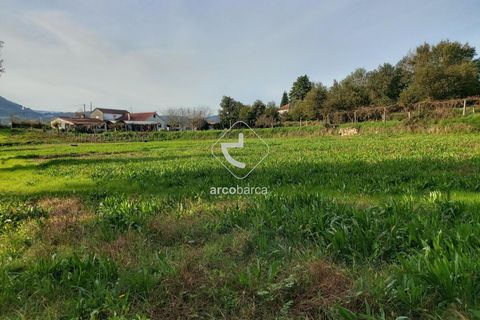 Tomt i Ponte de Lima, Viana do Castelo, Ponte de Lima - € 79 000 | Ref: AV6190 - foto 5