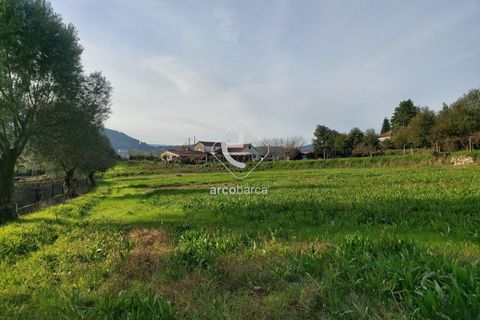 Tomt i Ponte de Lima, Viana do Castelo, Ponte de Lima - € 79 000 | Ref: AV6190 - foto 6