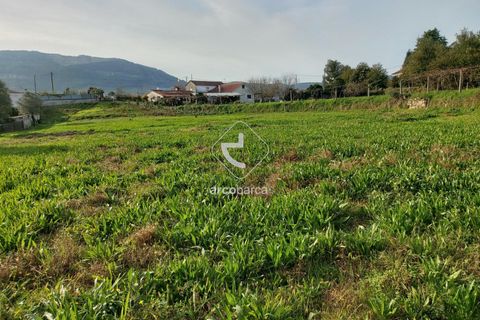 Tomt i Ponte de Lima, Viana do Castelo, Ponte de Lima - € 79 000 | Ref: AV6190 - foto 7