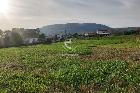 Tomt i Ponte de Lima, Viana do Castelo, Ponte de Lima - € 79 000 | Ref: AV6190 - foto 8