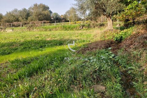 Tomt i Ponte de Lima, Viana do Castelo, Ponte de Lima - € 79 000 | Ref: AV6190 - foto 13
