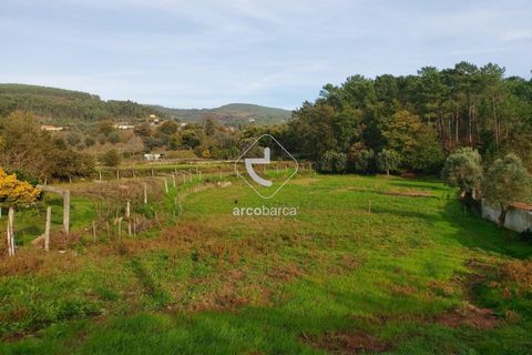 Tomt i Ponte de Lima, Viana do Castelo, Ponte de Lima - € 79 000 | Ref: AV6190 - foto 14
