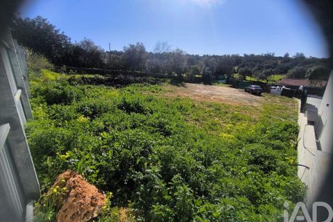 Terra a Loule, Faro, Loule - € 215.000 | Ref: 828520 - foto 2