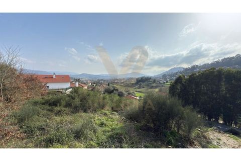Helårsgrund i Ponte de Lima, Viana do Castelo, Ponte de Lima - € 75.000 | Ref: V421 - foto 6