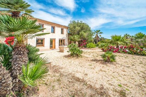 Finca i Manacor, Mallorca, Manacor - € 2.500.000 | Ref: FALC-Nep-60459 - foto 19