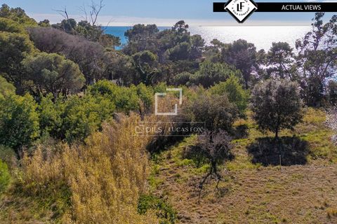 Terra a Lloret De Mar, Gerona, Lloret De Mar - € 850.000 | Ref: CBR66232 - foto 3