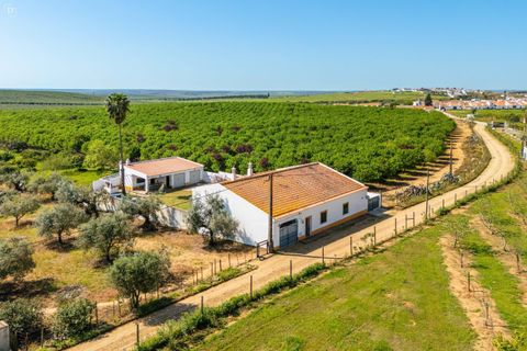 Villa i Beja, Beja, Beja - € 480.000 | Ref: SV2534 - foto 6