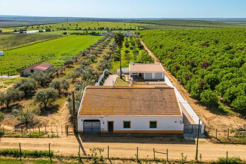Villa i Beja, Beja, Beja - € 480.000 | Ref: SV2534 - foto 41