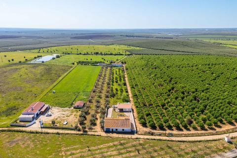 Villa i Beja, Beja, Beja - € 480.000 | Ref: SV2534 - foto 42