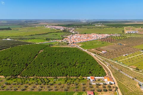 Villa i Beja, Beja, Beja - € 480.000 | Ref: SV2534 - foto 43