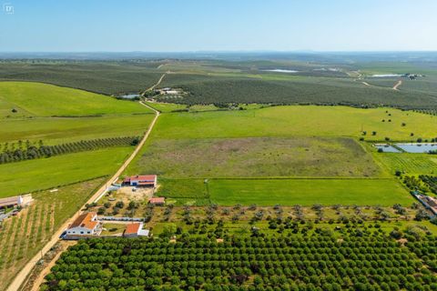 Villa i Beja, Beja, Beja - € 480.000 | Ref: SV2534 - foto 45