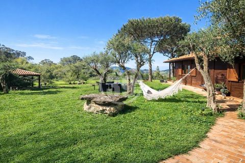Villa i Sintra, Lisbon, Sintra - € 1.490.000 | Ref: V5-009 - foto 12