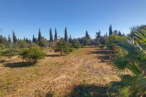 Villa a Avileses, Murcia, Avileses - € 340.000 | Ref: MGH1908 - foto 36