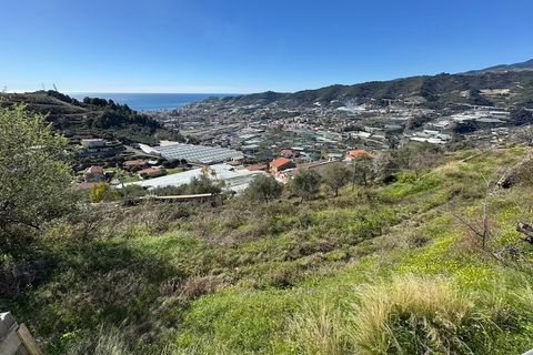 Byhus i Castellaro, Imperia, Castellaro - € 395.000 | Ref: Q251 - foto 38