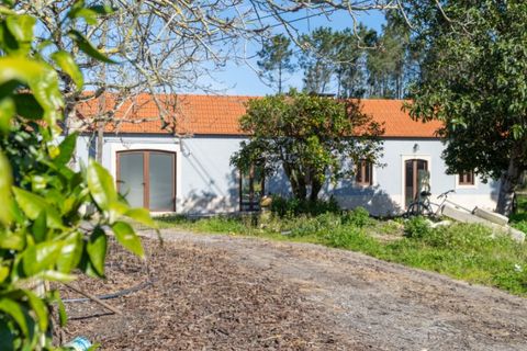 Villa a Cantanhede, Coimbra, Cantanhede - € 478.000 | Ref: ADF_70 - foto 2