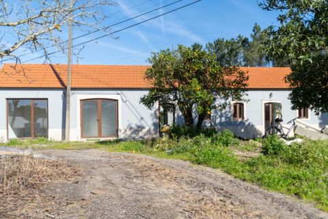 Villa a Cantanhede, Coimbra, Cantanhede - € 478.000 | Ref: ADF_70 - foto 3