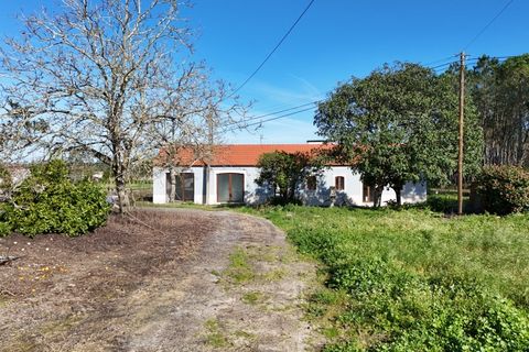 Villa a Cantanhede, Coimbra, Cantanhede - € 478.000 | Ref: ADF_70 - foto 38