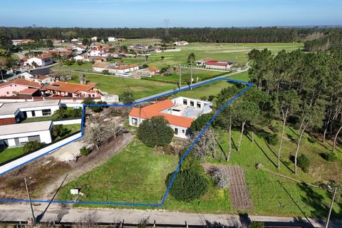 Villa a Cantanhede, Coimbra, Cantanhede - € 478.000 | Ref: ADF_70 - foto 41