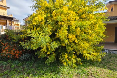 Villa a Morlupo, Rome, Morlupo - € 250.000 | Ref: 1743 - foto 14