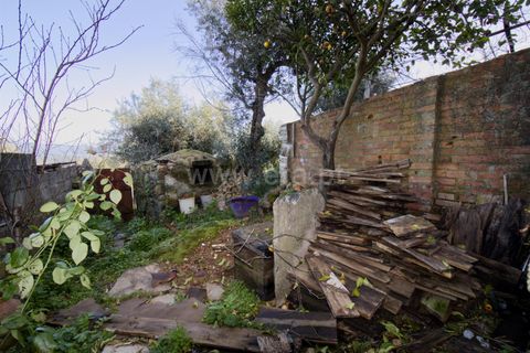 Villa i Castelo Branco, Castelo Branco, Castelo Branco - € 34.000 | Ref: 102260034 - foto 19