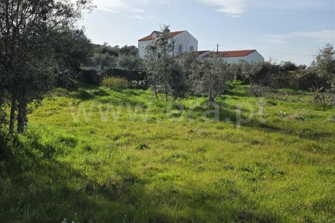 Helårsgrund i Castelo Branco, Castelo Branco, Castelo Branco - € 47.500 | Ref: 102260036 - foto 1