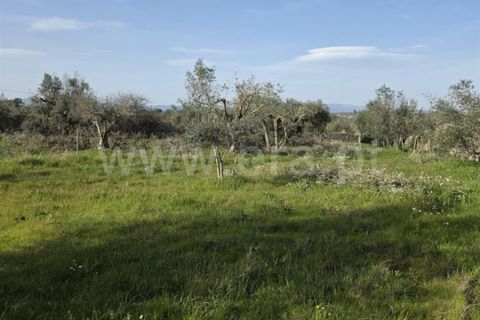 Helårsgrund i Castelo Branco, Castelo Branco, Castelo Branco - € 47.500 | Ref: 102260036 - foto 4