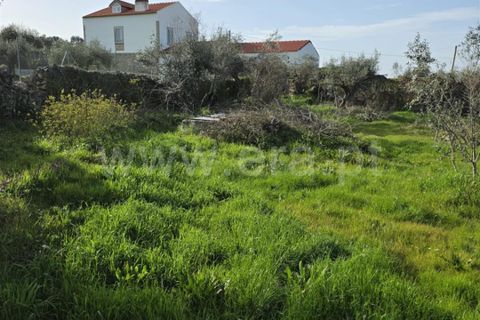 Helårsgrund i Castelo Branco, Castelo Branco, Castelo Branco - € 47.500 | Ref: 102260036 - foto 5