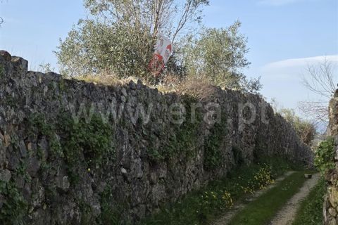 Helårsgrund i Castelo Branco, Castelo Branco, Castelo Branco - € 47.500 | Ref: 102260036 - foto 6