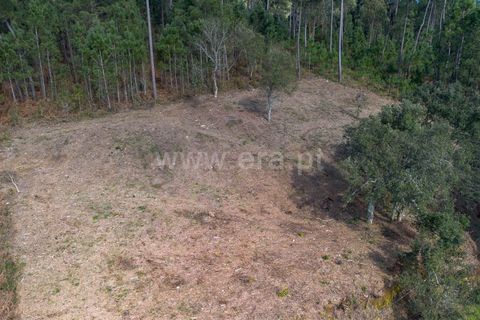Helårsgrund i Barcelos, Braga, Barcelos - € 95.000 | Ref: 254260666 - foto 6
