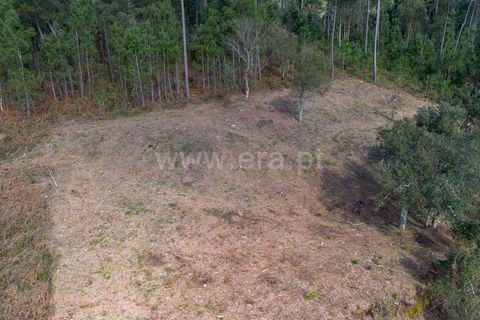 Helårsgrund i Barcelos, Braga, Barcelos - € 95.000 | Ref: 254260666 - foto 9