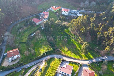 Helårsgrund i Barcelos, Braga, Barcelos - € 50.000 | Ref: 254250216 - foto 3