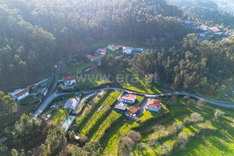 Helårsgrund i Barcelos, Braga, Barcelos - € 50.000 | Ref: 254250216 - foto 5