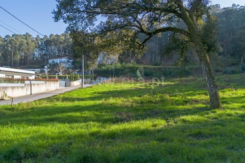 Helårsgrund i Barcelos, Braga, Barcelos - € 50.000 | Ref: 254250216 - foto 6
