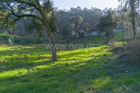 Helårsgrund i Barcelos, Braga, Barcelos - € 50.000 | Ref: 254250216 - foto 7