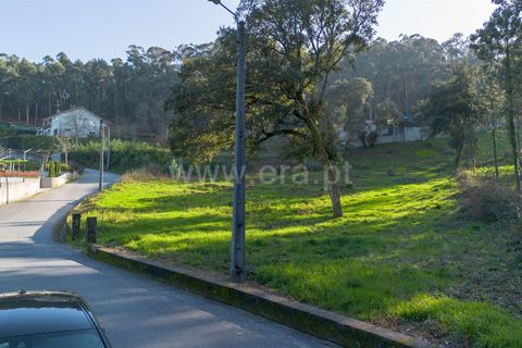 Helårsgrund i Barcelos, Braga, Barcelos - € 50.000 | Ref: 254250216 - foto 8