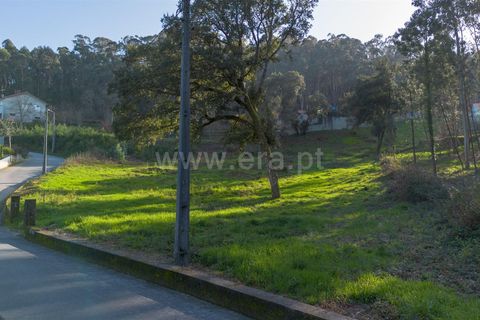 Helårsgrund i Barcelos, Braga, Barcelos - € 50.000 | Ref: 254250216 - foto 9