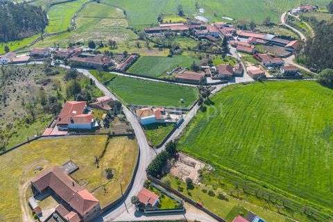 Helårsgrund i Barcelos, Braga, Barcelos - € 60.000 | Ref: 254260673 - foto 4