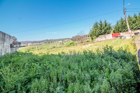 Helårsgrund i Barcelos, Braga, Barcelos - € 60.000 | Ref: 254260673 - foto 10
