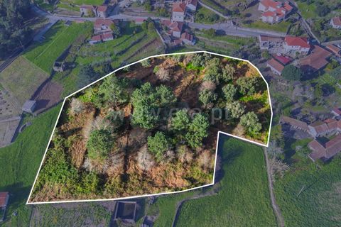 Helårsgrund i Barcelos, Braga, Barcelos - € 110.000 | Ref: 254260656 - foto 2