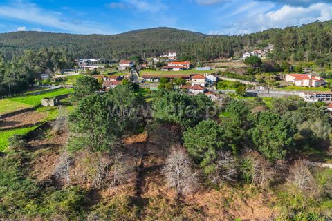 Helårsgrund i Barcelos, Braga, Barcelos - € 110.000 | Ref: 254260656 - foto 5