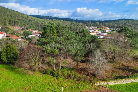 Helårsgrund i Barcelos, Braga, Barcelos - € 110.000 | Ref: 254260656 - foto 7